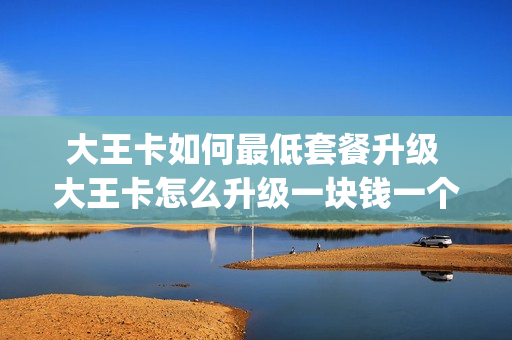 大王卡如何最低套餐升级 大王卡怎么升级一块钱一个g