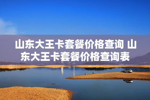 山东大王卡套餐价格查询 山东大王卡套餐价格查询表