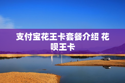 支付宝花王卡套餐介绍 花呗王卡