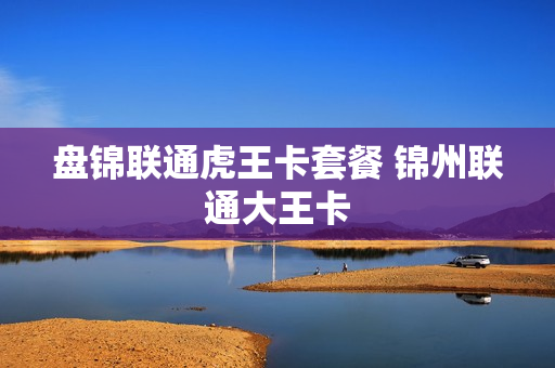 盘锦联通虎王卡套餐 锦州联通大王卡
