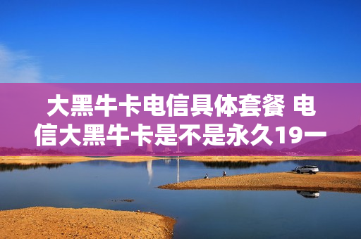 大黑牛卡电信具体套餐 电信大黑牛卡是不是永久19一个月