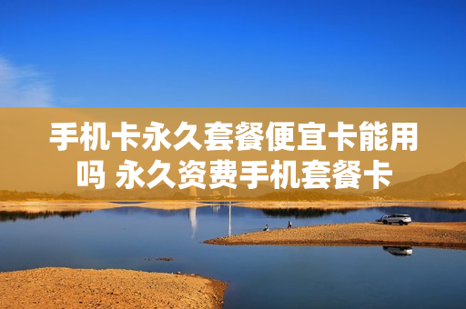 手机卡永久套餐便宜卡能用吗 永久资费手机套餐卡