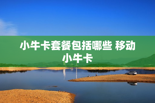 小牛卡套餐包括哪些 移动小牛卡
