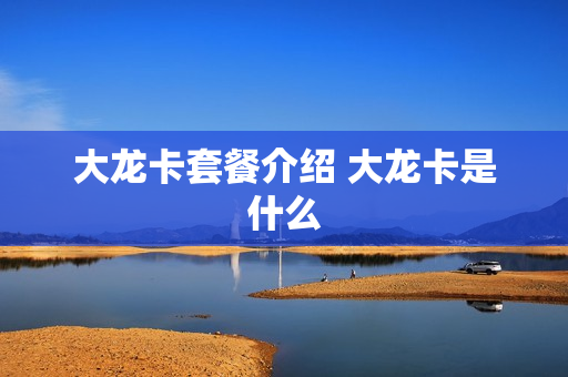 大龙卡套餐介绍 大龙卡是什么