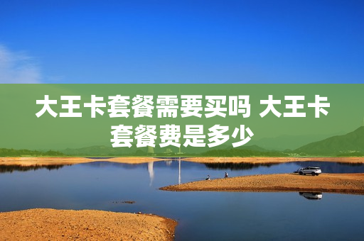 大王卡套餐需要买吗 大王卡套餐费是多少