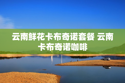 云南鲜花卡布奇诺套餐 云南卡布奇诺咖啡