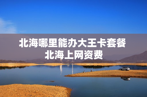 北海哪里能办大王卡套餐 北海上网资费