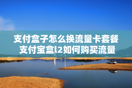 支付盒子怎么换流量卡套餐 支付宝盒l2如何购买流量费