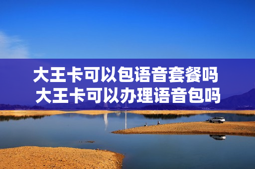 大王卡可以包语音套餐吗 大王卡可以办理语音包吗