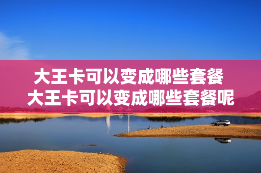 大王卡可以变成哪些套餐 大王卡可以变成哪些套餐呢