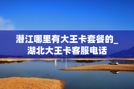 潜江哪里有大王卡套餐的_湖北大王卡客服电话
