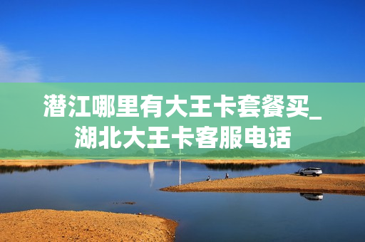 潜江哪里有大王卡套餐买_湖北大王卡客服电话