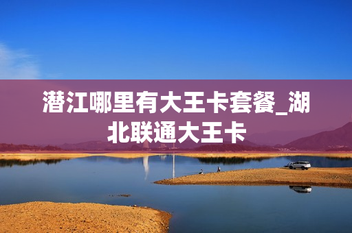 潜江哪里有大王卡套餐_湖北联通大王卡