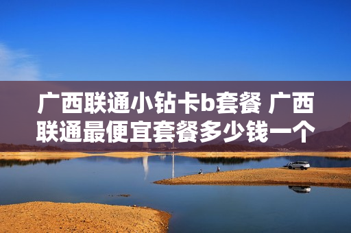 广西联通小钻卡b套餐 广西联通最便宜套餐多少钱一个月