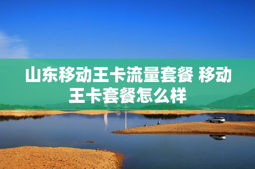 山东移动王卡流量套餐 移动王卡套餐怎么样