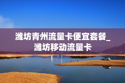 潍坊青州流量卡便宜套餐_潍坊移动流量卡