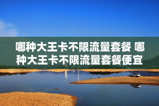 哪种大王卡不限流量套餐 哪种大王卡不限流量套餐便宜
