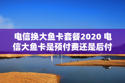电信换大鱼卡套餐2020 电信大鱼卡是预付费还是后付费