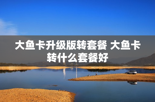 大鱼卡升级版转套餐 大鱼卡转什么套餐好