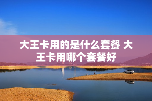 大王卡用的是什么套餐 大王卡用哪个套餐好