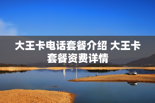 大王卡电话套餐介绍 大王卡套餐资费详情
