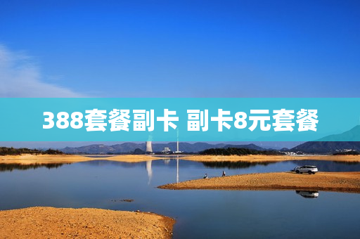 388套餐副卡 副卡8元套餐