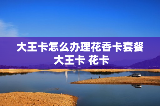 大王卡怎么办理花香卡套餐 大王卡 花卡