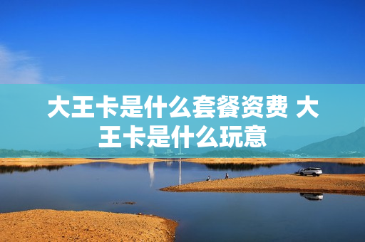 大王卡是什么套餐资费 大王卡是什么玩意