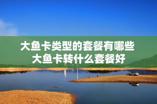 大鱼卡类型的套餐有哪些 大鱼卡转什么套餐好