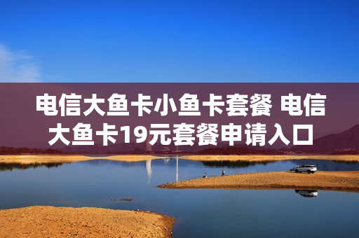 电信大鱼卡小鱼卡套餐 电信大鱼卡19元套餐申请入口