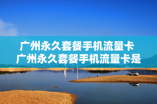 广州永久套餐手机流量卡 广州永久套餐手机流量卡是真的吗