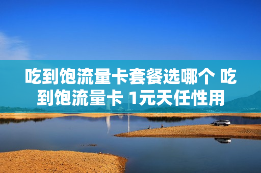 吃到饱流量卡套餐选哪个 吃到饱流量卡 1元天任性用