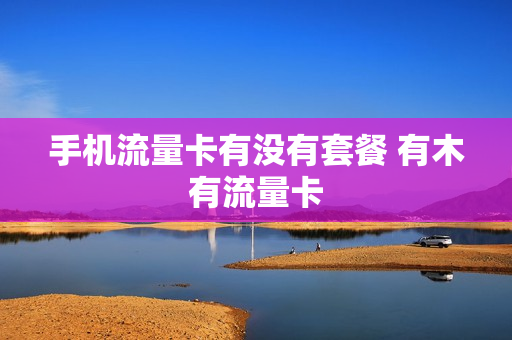 手机流量卡有没有套餐 有木有流量卡