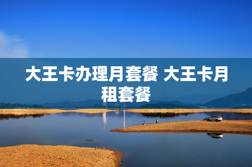 大王卡办理月套餐 大王卡月租套餐
