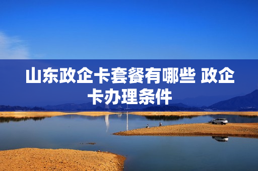 山东政企卡套餐有哪些 政企卡办理条件
