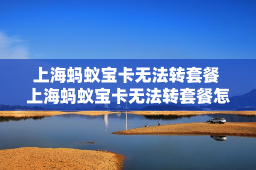 上海蚂蚁宝卡无法转套餐 上海蚂蚁宝卡无法转套餐怎么回事
