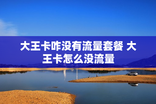 大王卡咋没有流量套餐 大王卡怎么没流量