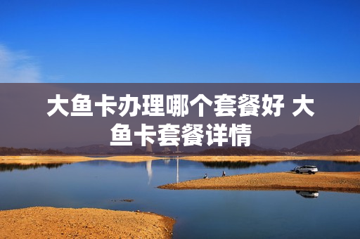 大鱼卡办理哪个套餐好 大鱼卡套餐详情