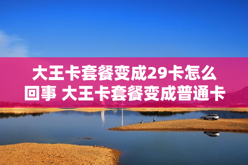 大王卡套餐变成29卡怎么回事 大王卡套餐变成普通卡