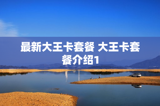 最新大王卡套餐 大王卡套餐介绍1