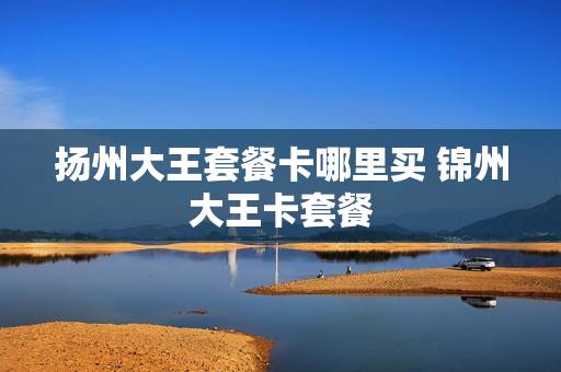 扬州大王套餐卡哪里买 锦州大王卡套餐