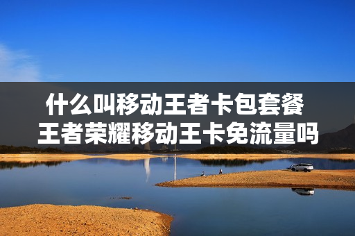 什么叫移动王者卡包套餐 王者荣耀移动王卡免流量吗