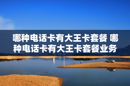 哪种电话卡有大王卡套餐 哪种电话卡有大王卡套餐业务