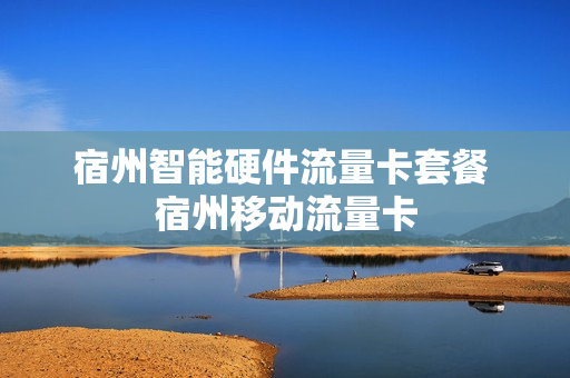 宿州智能硬件流量卡套餐 宿州移动流量卡