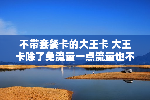 不带套餐卡的大王卡 大王卡除了免流量一点流量也不带吗