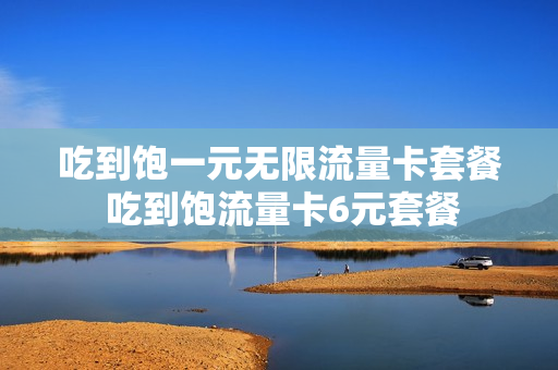 吃到饱一元无限流量卡套餐 吃到饱流量卡6元套餐