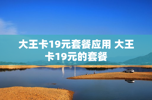 大王卡19元套餐应用 大王卡19元的套餐