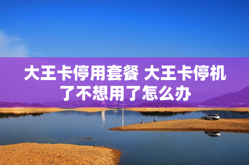 大王卡停用套餐 大王卡停机了不想用了怎么办