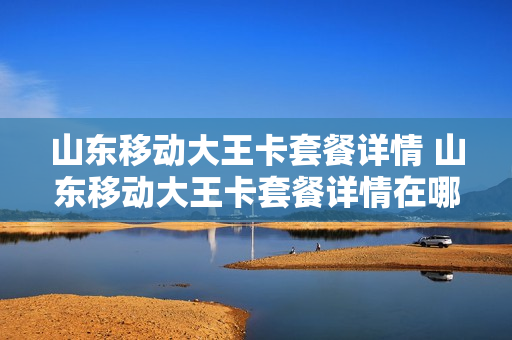 山东移动大王卡套餐详情 山东移动大王卡套餐详情在哪