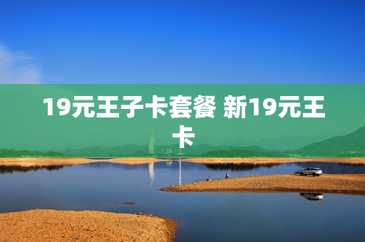 19元王子卡套餐 新19元王卡